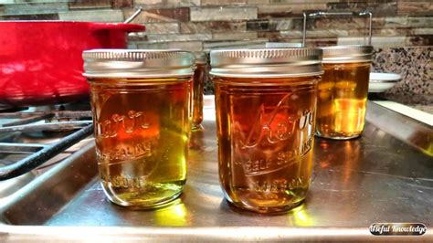 Apple Jelly from All Natural Apple Juice   Useful Knowledge